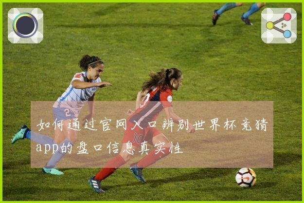 如何通过官网入口辨别世界杯竞猜app的盘口信息真实性